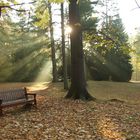 Herbst im Park 1