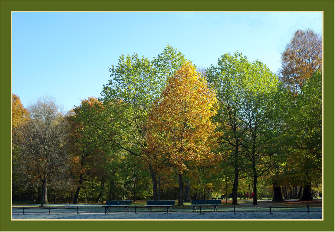 Herbst im Park