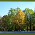 Herbst im Park