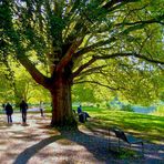 Herbst im Park