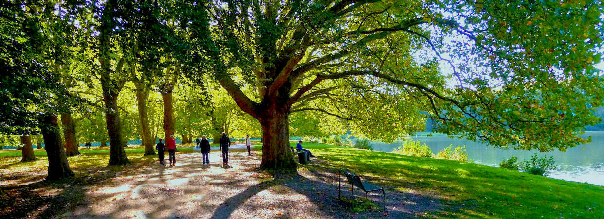 Herbst im Park