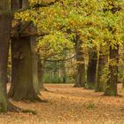 Herbst im Park