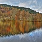 Herbst im Park