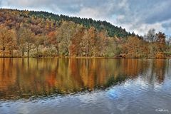 Herbst im Park