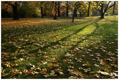 Herbst im Park (2)