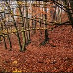 Herbst im Park (2)