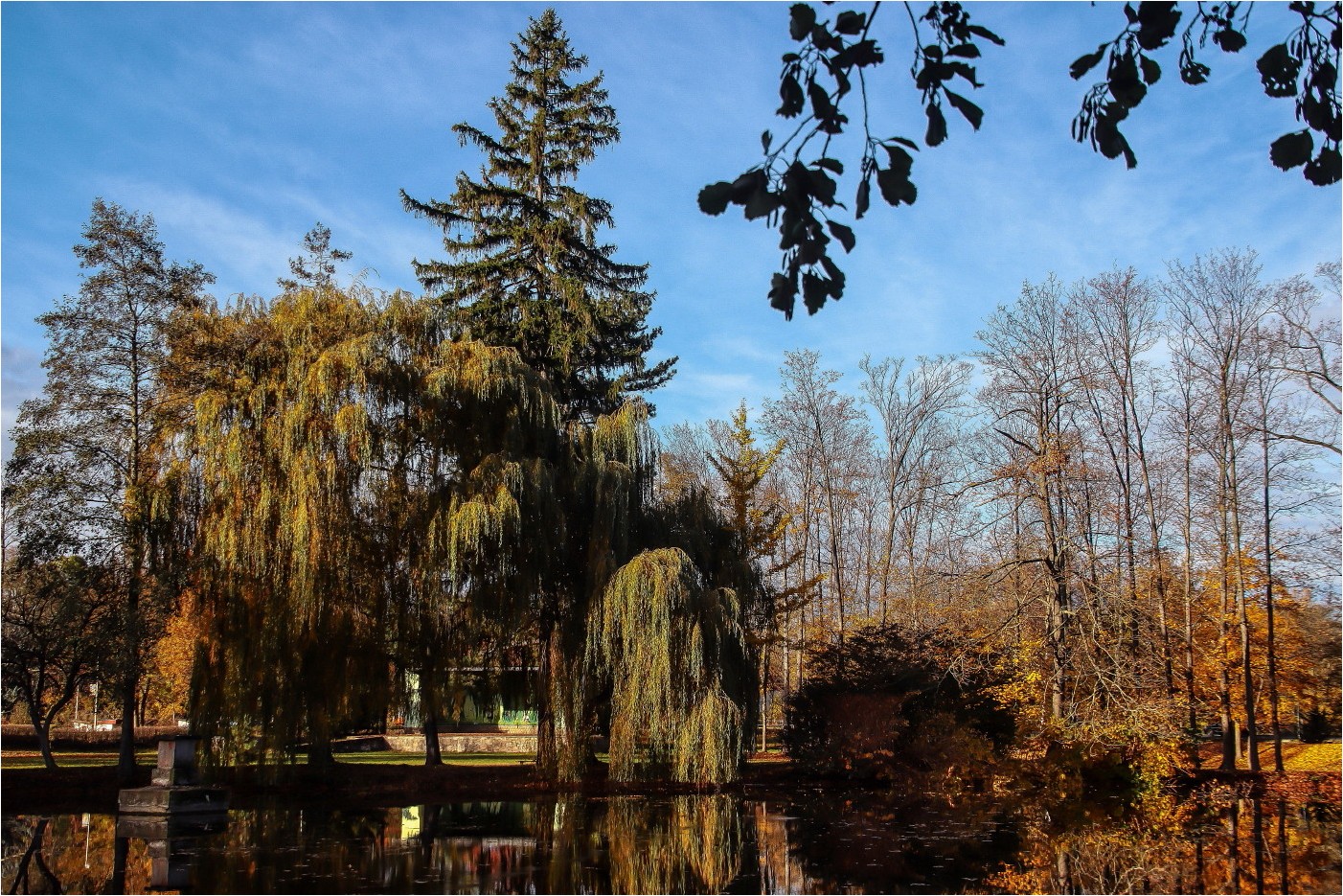 Herbst im Park (2)