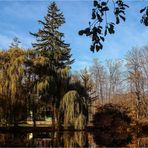 Herbst im Park (2)