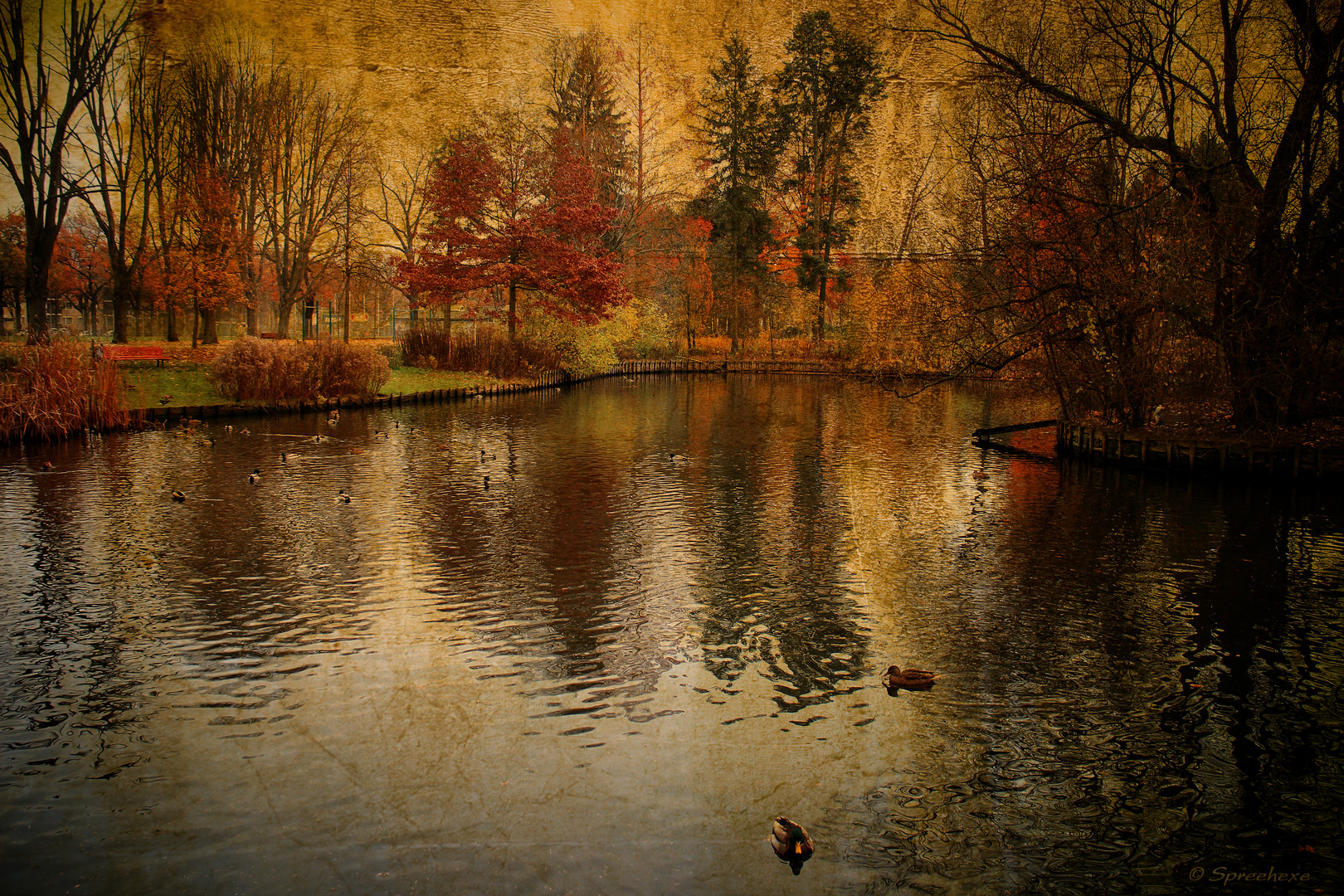 Herbst im Park..