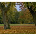 Herbst im Park