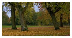 Herbst im Park