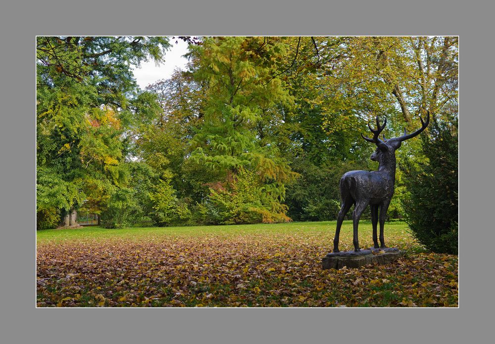 Herbst im Park