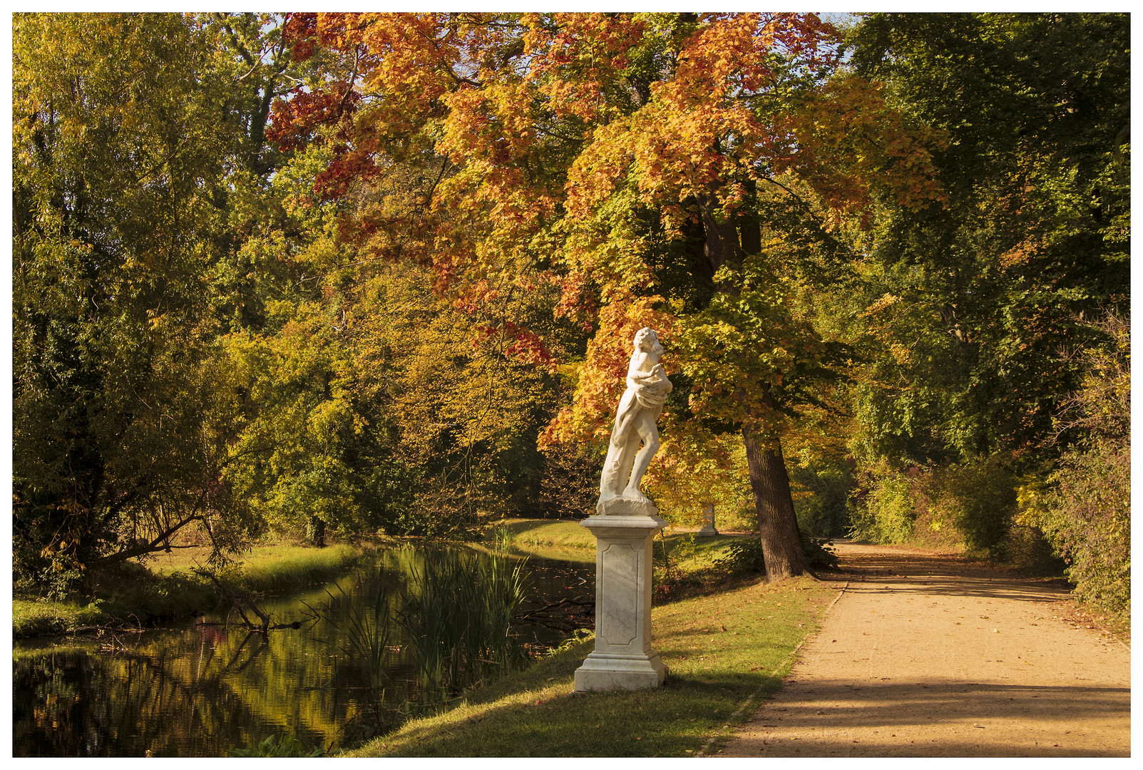 Herbst im Park