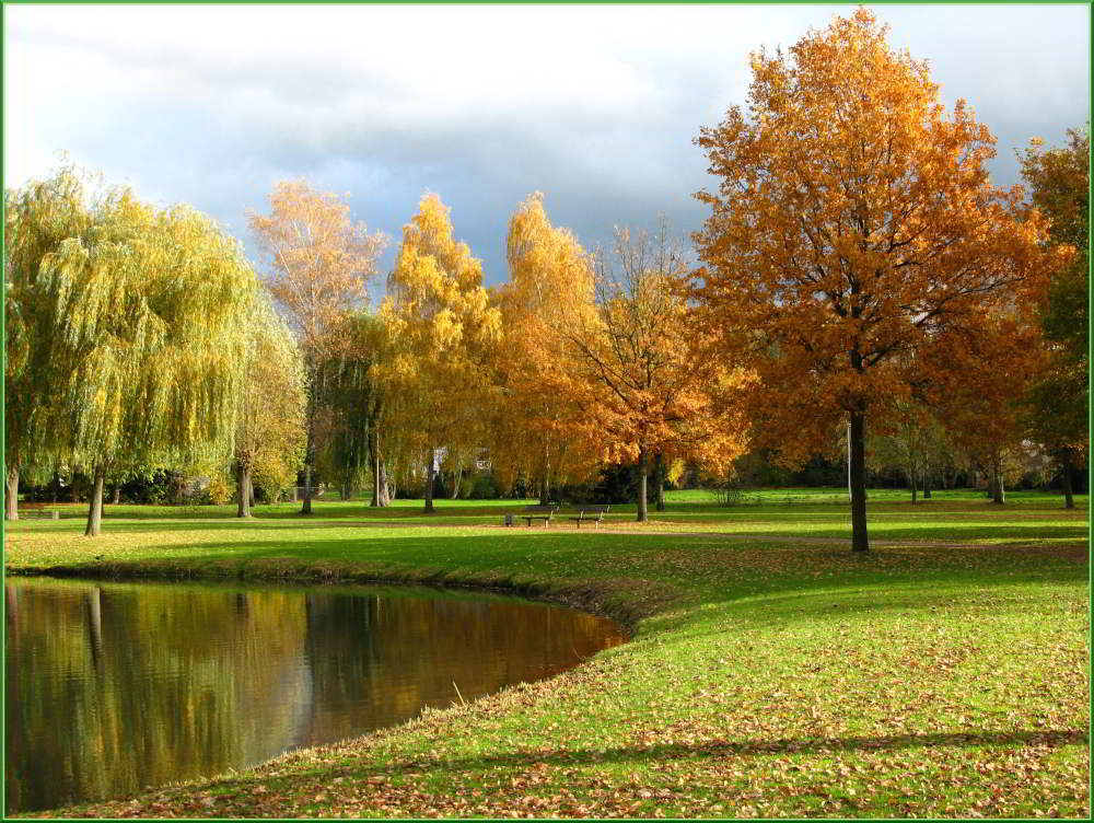 Herbst im Park