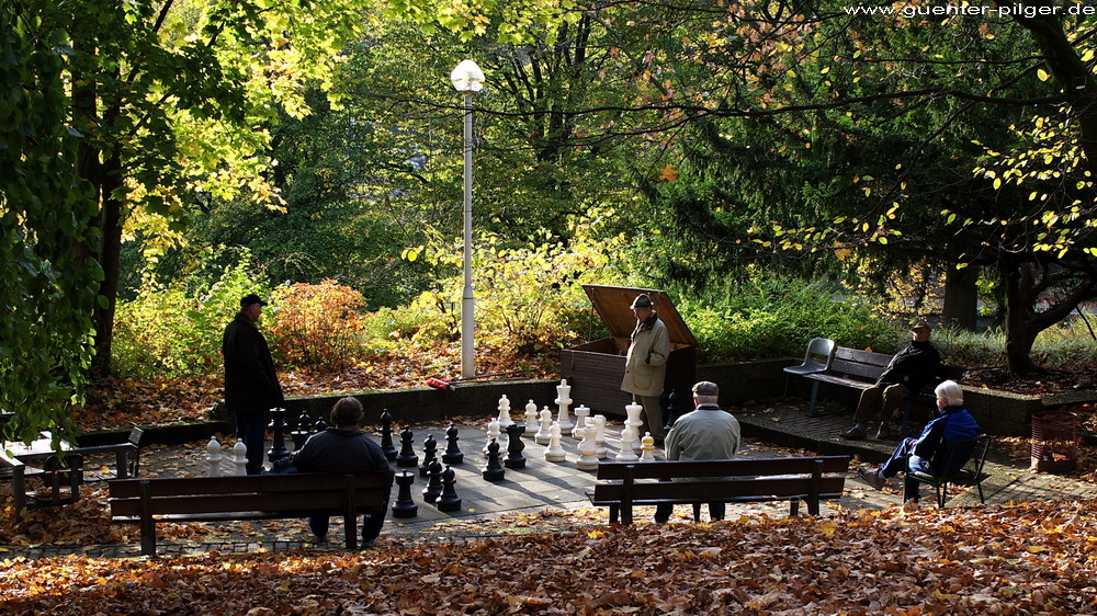 Herbst im Park