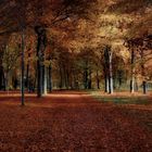 Herbst im Park