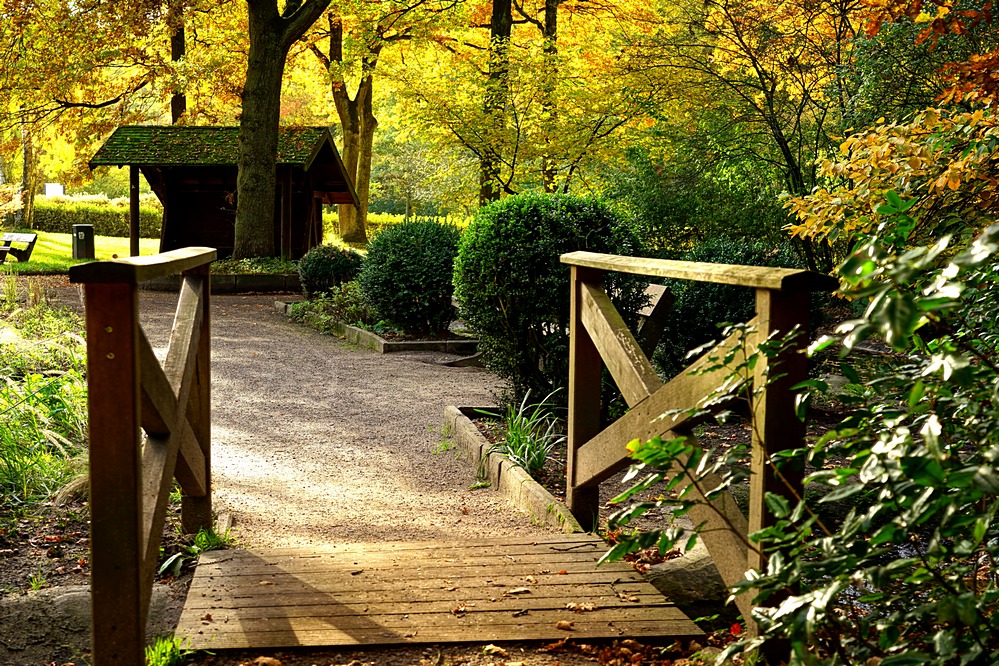 Herbst im Park