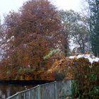 Herbst im Park