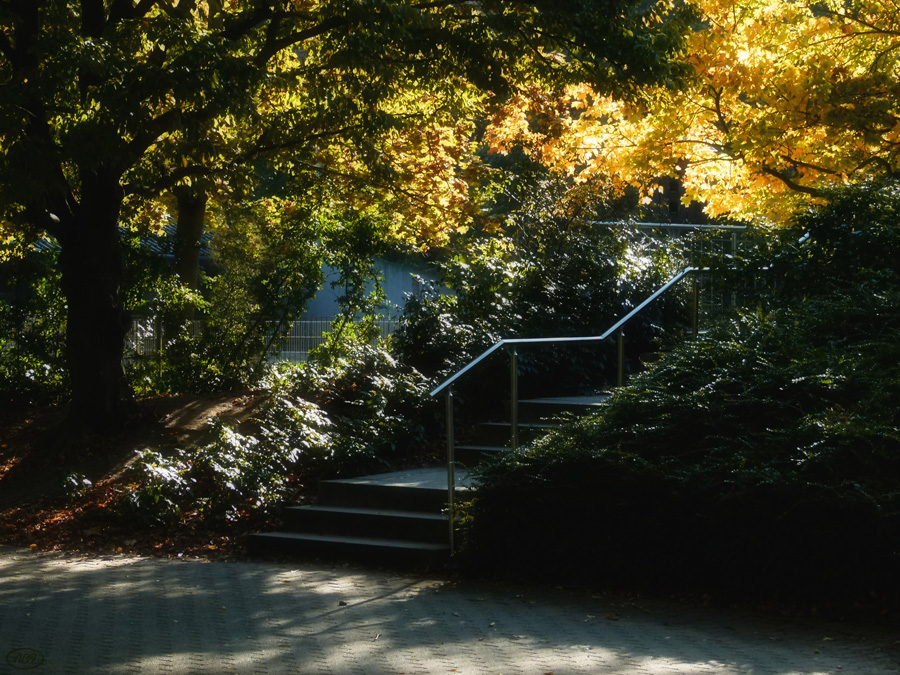 Herbst im Park... (3)