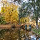 Herbst im Park (3)