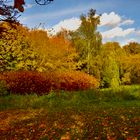 Herbst im Park