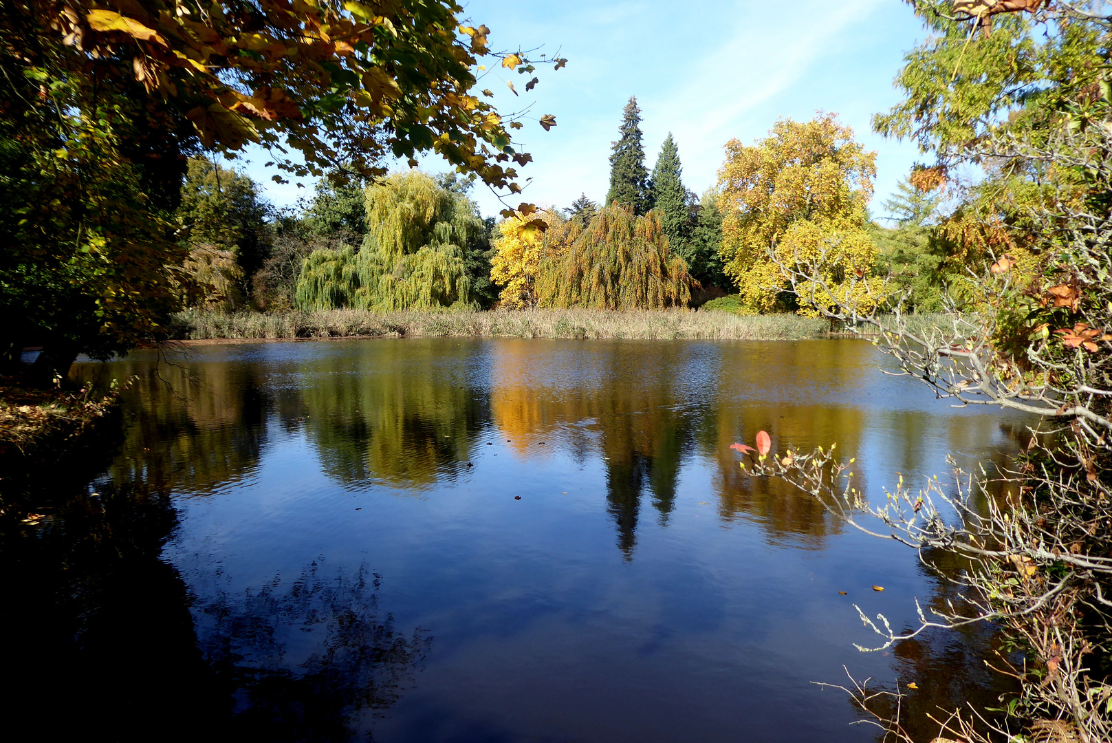 Herbst im Park