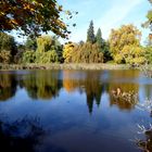 Herbst im Park