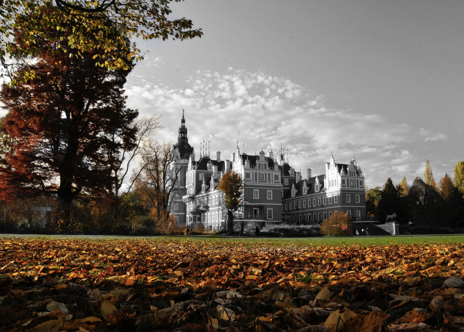 Herbst im Park