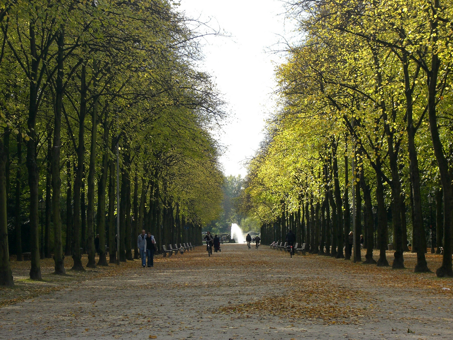 Herbst im Park