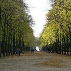 Herbst im Park