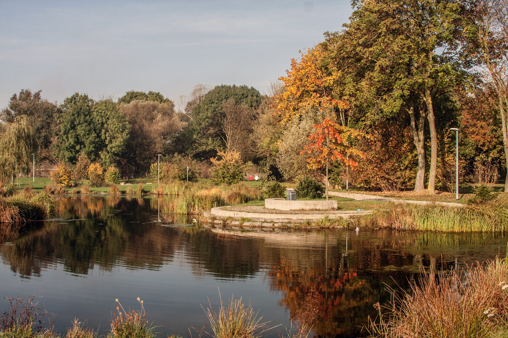 Herbst im Park