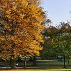 Herbst im Park