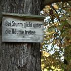 Herbst im Park