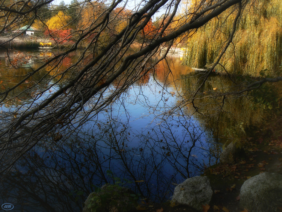 Herbst im Park... (4)