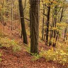 Herbst im Park 4