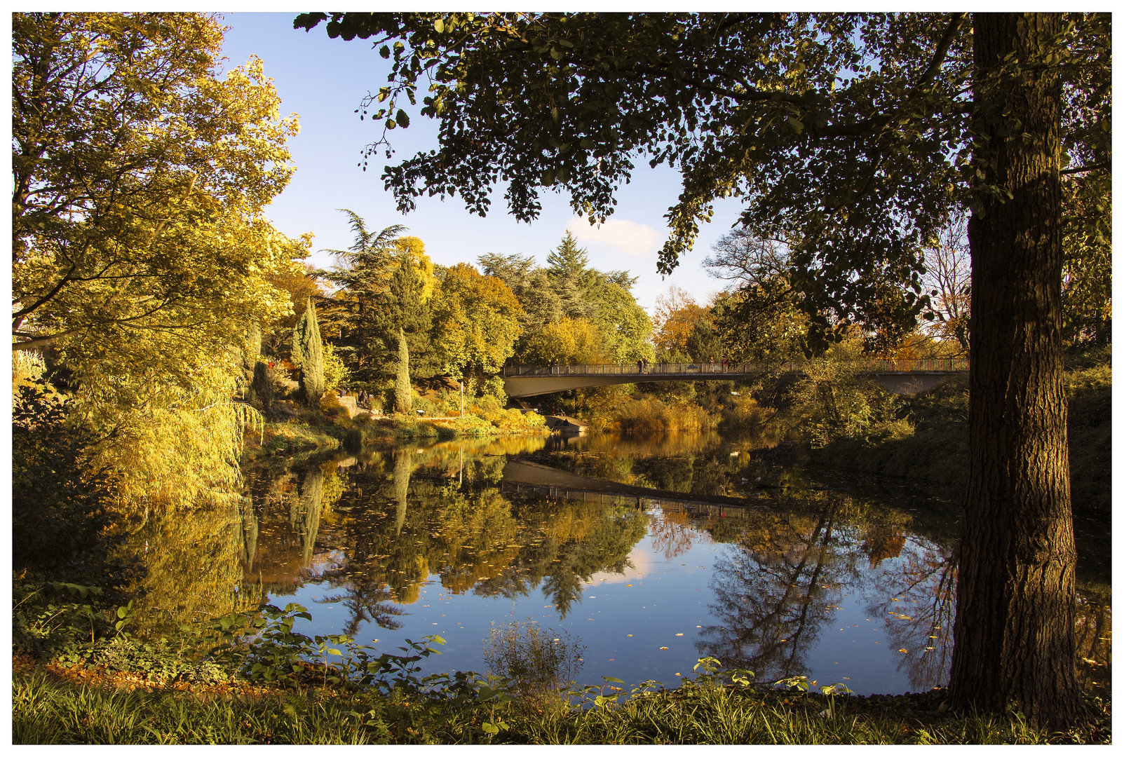 Herbst im Park