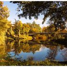 Herbst im Park