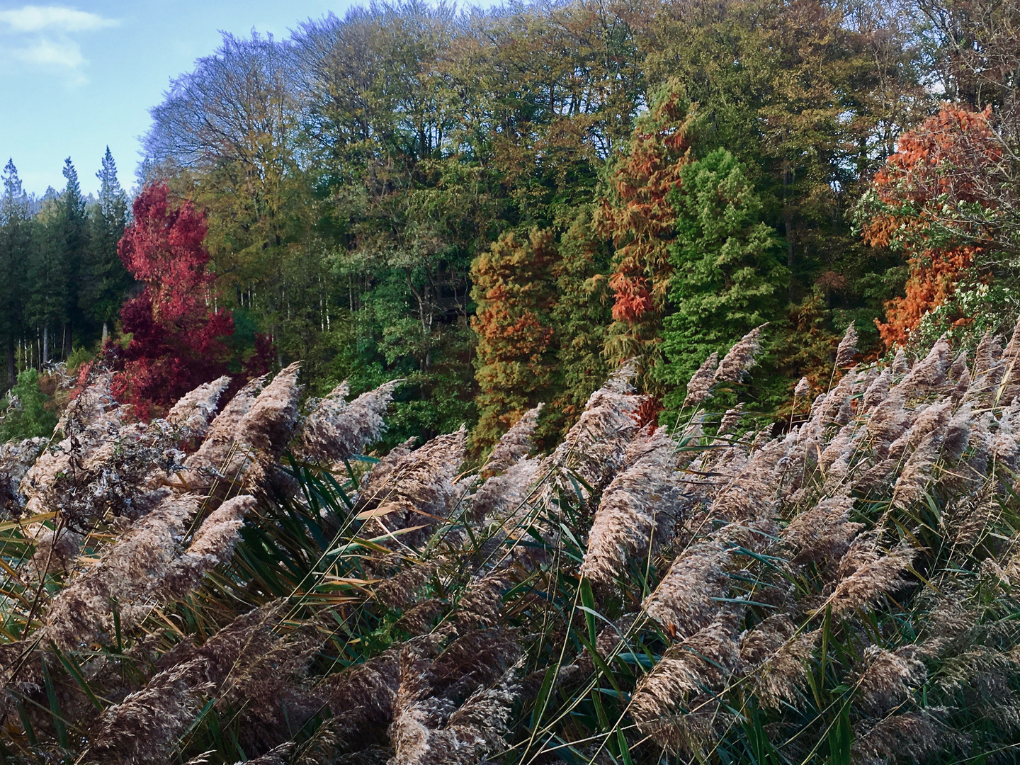 Herbst im Park…