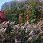 Herbst im Park…