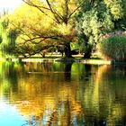 Herbst im Park