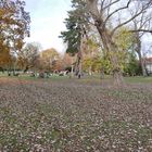 Herbst im Park