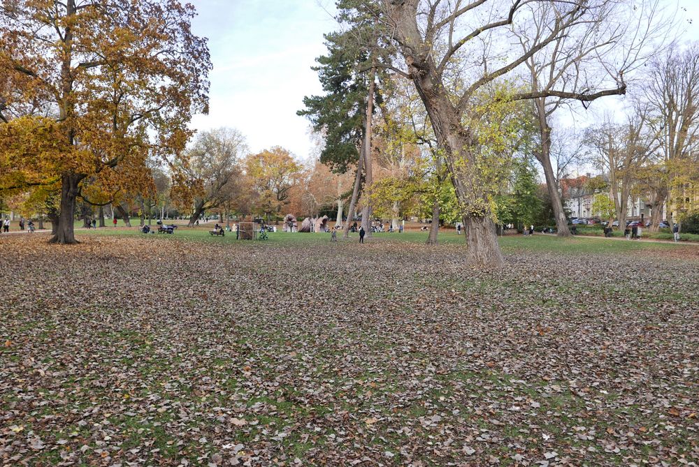 Herbst im Park