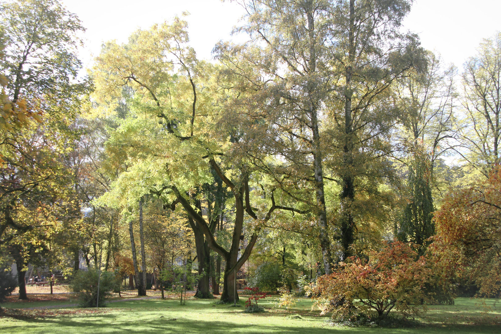 herbst im park