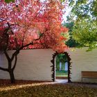 Herbst im Park