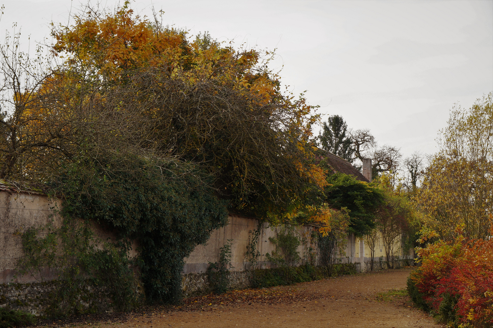 Herbst im Park ...