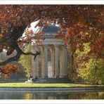 Herbst im Park