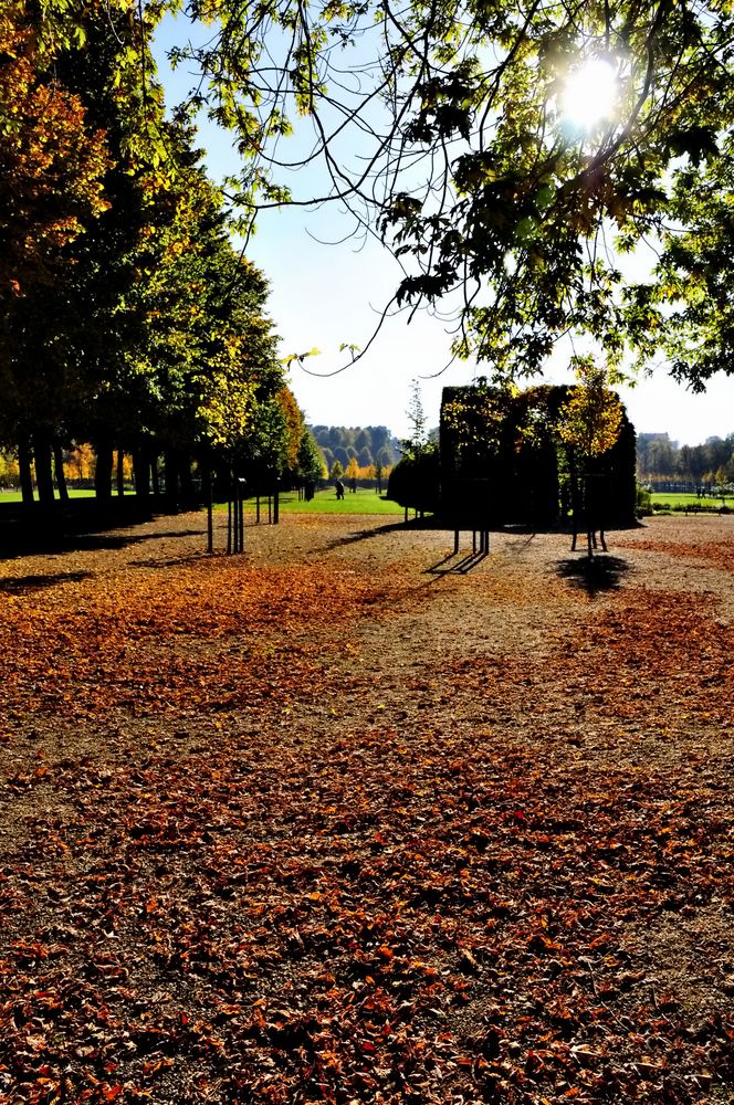 herbst im park