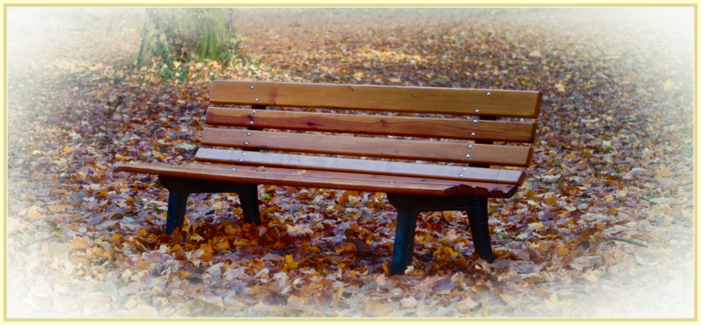 Herbst im Park