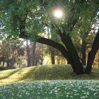 Herbst im Park