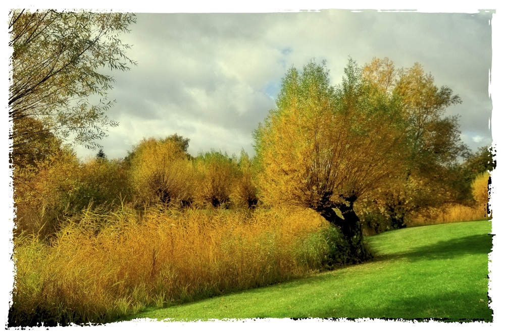 Herbst im Park.......